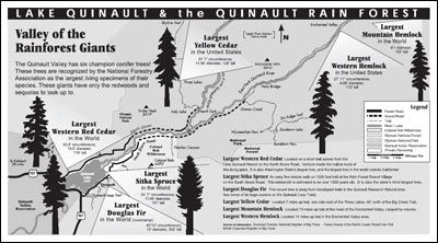 map for Valley of the Giants